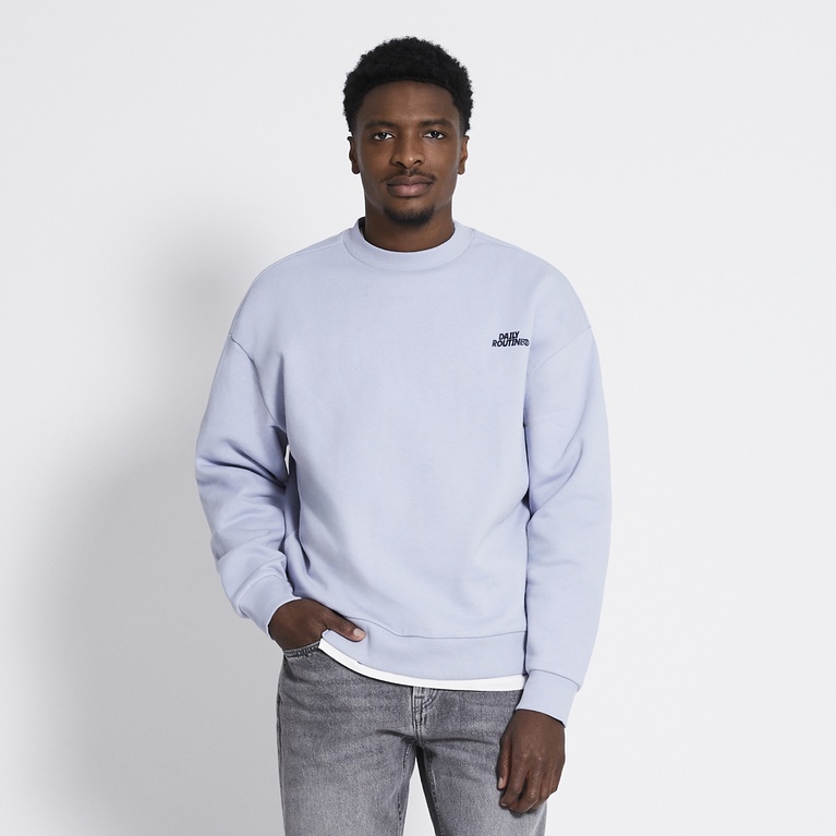 Printed sweatshirt "Owen 2.0" Dusty Blue